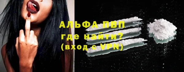 стаф Белокуриха