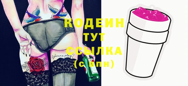 прущие грибы Балахна