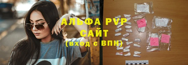 стаф Белокуриха