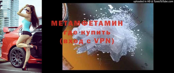 прущие грибы Белоозёрский