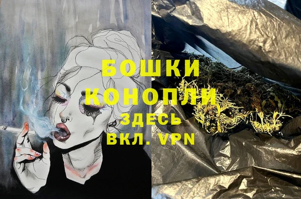 прущие грибы Белоозёрский