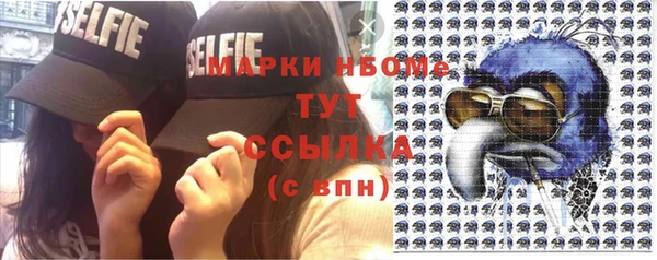 прущие грибы Балахна