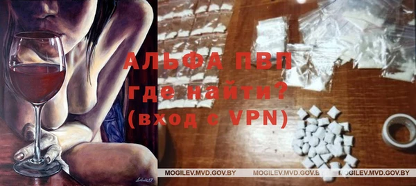 прущие грибы Балахна