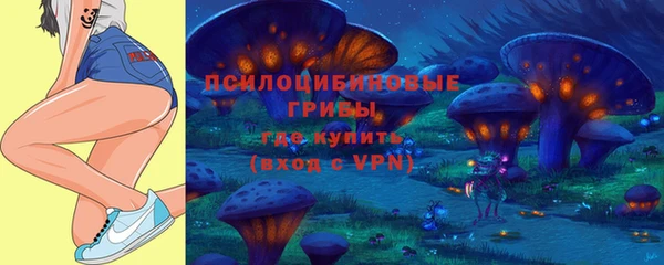 прущие грибы Белоозёрский