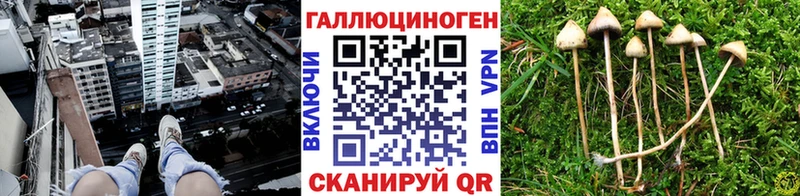 Галлюциногенные грибы ЛСД  где найти   Великий Устюг 